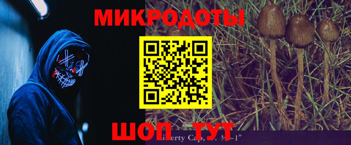 Галлюциногенные грибы Cubensis  Вход с VPN  Нижнеудинск 