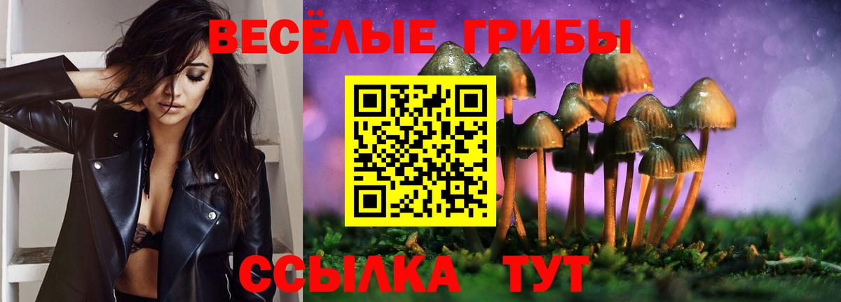 Галлюциногенные грибы ЛСД Нижнеудинск